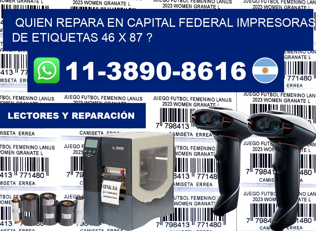 quien repara en capital federal impresoras de etiquetas 46 x 87 ?