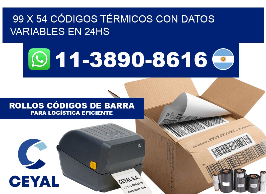 99 x 54 CÓDIGOS TÉRMICOS CON DATOS VARIABLES EN 24HS