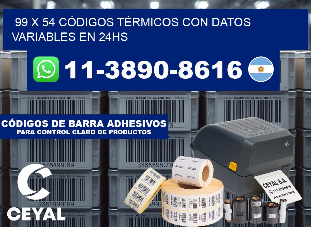 99 x 54 CÓDIGOS TÉRMICOS CON DATOS VARIABLES EN 24HS