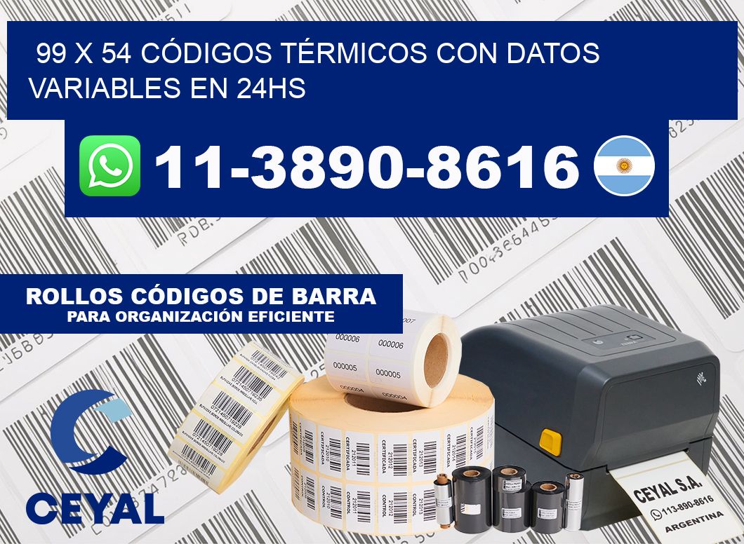 99 x 54 CÓDIGOS TÉRMICOS CON DATOS VARIABLES EN 24HS