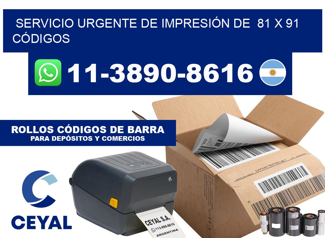 SERVICIO URGENTE DE IMPRESIÓN DE  81 x 91 CÓDIGOS