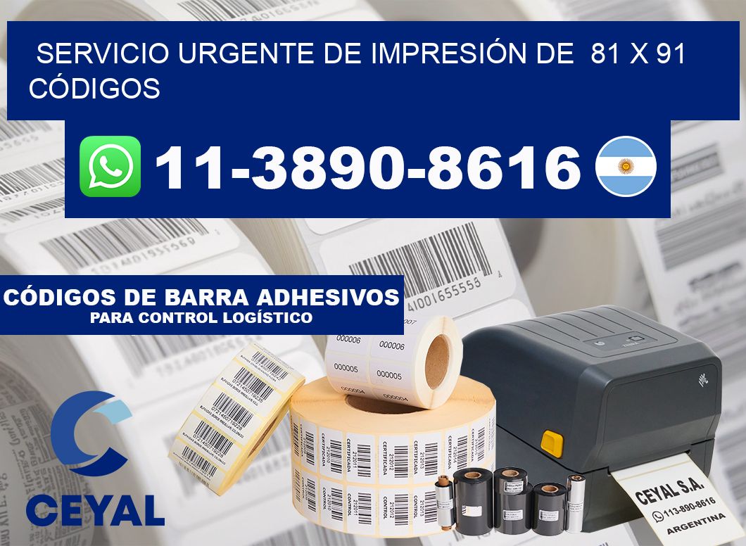 SERVICIO URGENTE DE IMPRESIÓN DE  81 x 91 CÓDIGOS