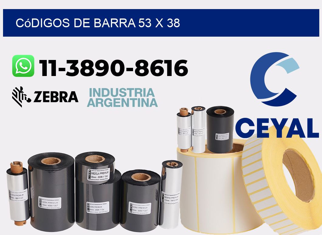códigos de barra 53 x 38