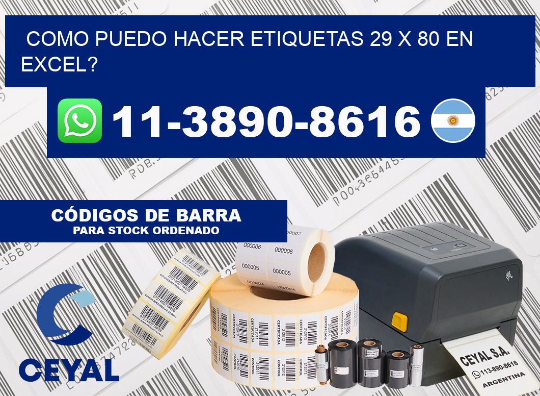 como puedo hacer etiquetas 29 x 80 en excel?