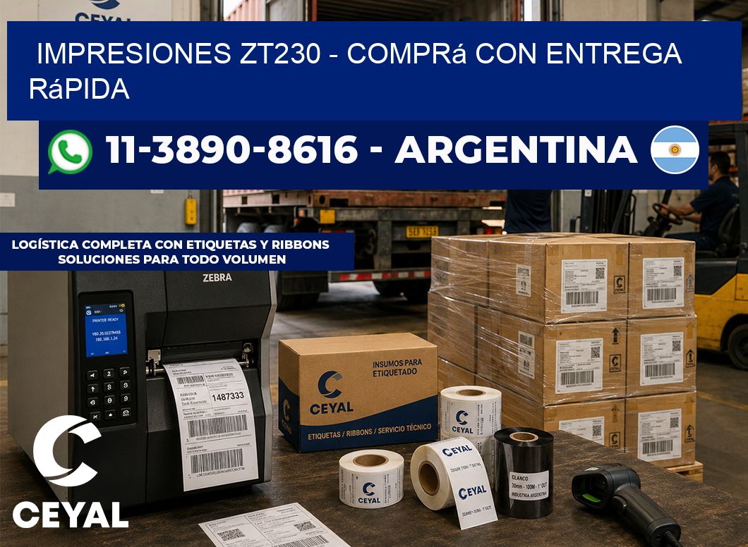 Impresiones ZT230 - Comprá con entrega rápida
